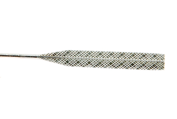 花纹类扁针（L1799）